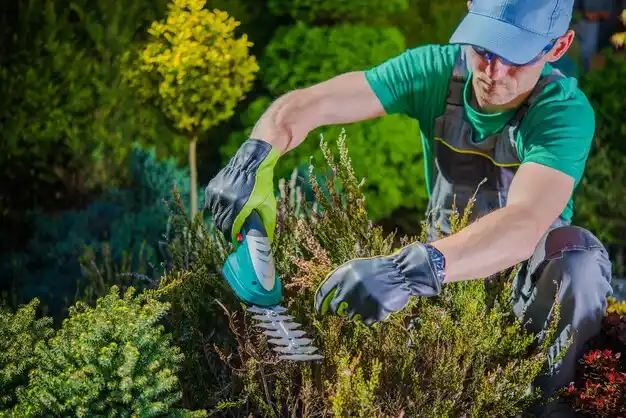 landscaping services Sebree